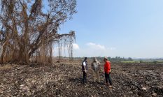 berita-pilihan-foto