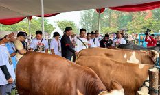berita-pilihan-foto
